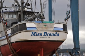 DSC_0163 Miss Brenda (Kells Hetherington - Photo)
