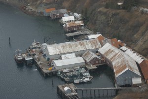 Squaw Harbor from the air