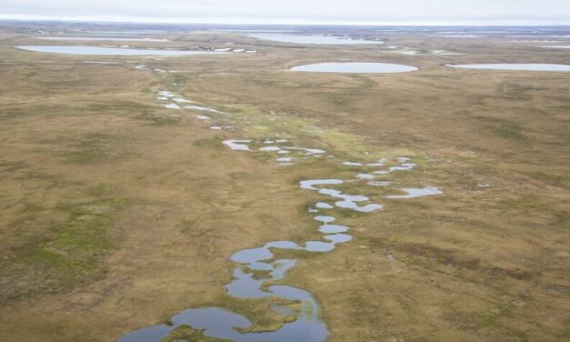 Trump administration moves toward an Arctic Alaska oil lease sale despite the government shutdown