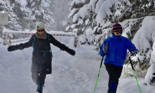 Have you learned to love the Alaska cold? Tell us how.