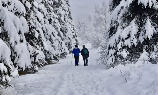 Loneliness in Alaska | Line One