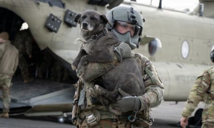 Dog evacuations continue from Western Alaska villages hit hard by remnants of Typhoon Halong