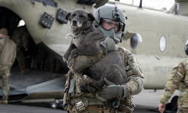 Dog evacuations continue from Western Alaska villages hit hard by remnants of Typhoon Halong