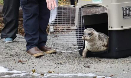 Alaska News Nightly: Wednesday, October 29, 2025