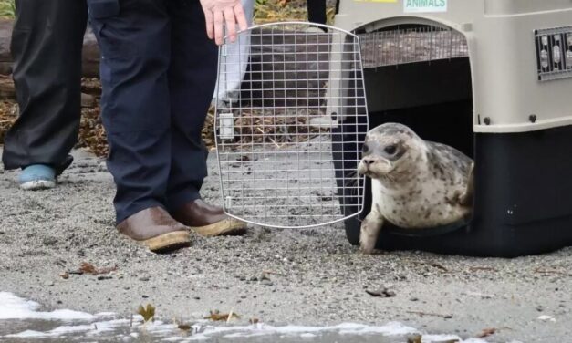 Alaska News Nightly: Wednesday, October 29, 2025