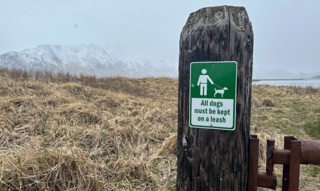 Unalaska tightens pet control laws, but some locals say new leash zone feels more like ‘people park’ than dog park