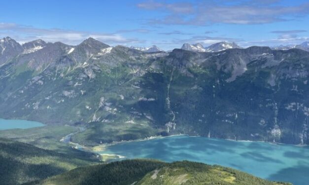 Timber company re-applies to store logs in Lutak Inlet after surveying sea floor