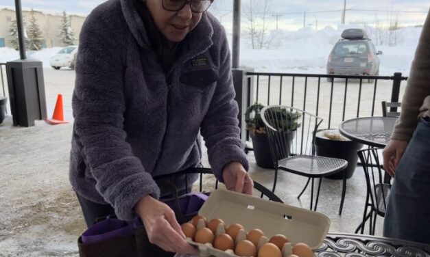 Soldotna legalizes backyard chickens