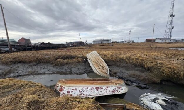 After the storm, coastal communities weigh the loss of property, land and subsistence foods