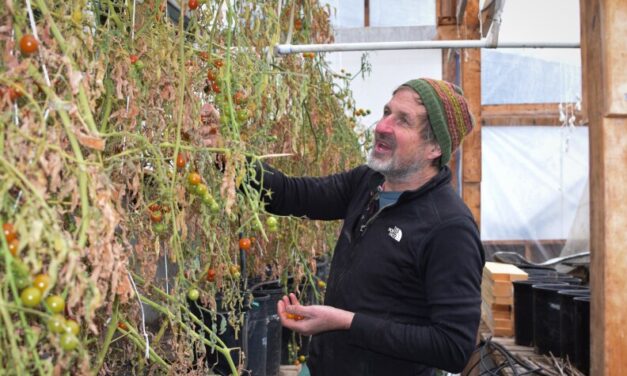 Agriculture is on the rise in Interior Alaska, but farmers often need side hustles