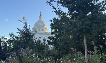 15 minutes with Matt Schultz, new Democratic candidate for U.S. House