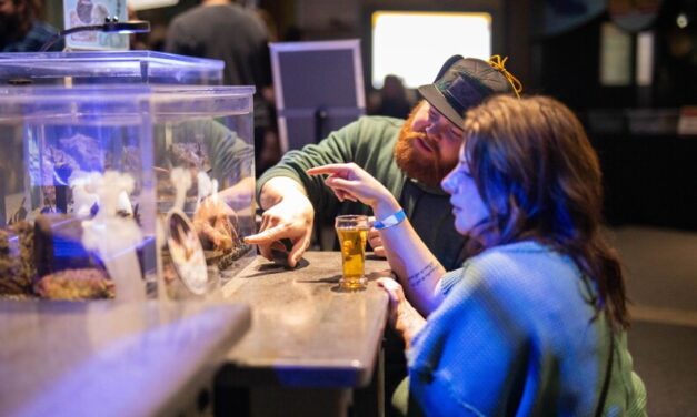 The Anchorage Weekender: Early holiday shopping, ‘Beers by the Bay’ and 7 more local events