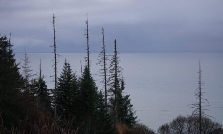 Trump administration sets terms for upcoming oil and gas lease sale in Alaska’s Cook Inlet