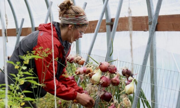 A new farm in Haines has grown thousands of pounds of produce for the community