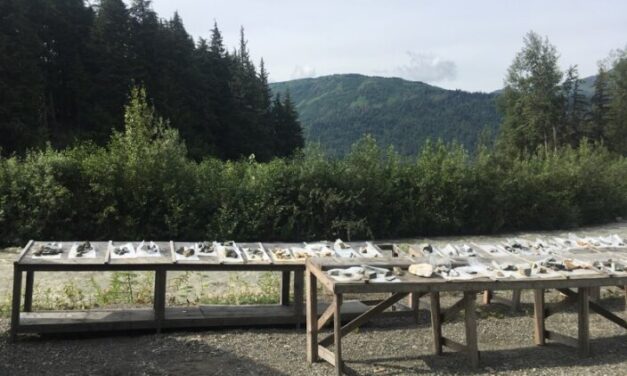 This mineral exploration site has had 3 owners in the last year.  Is that normal?