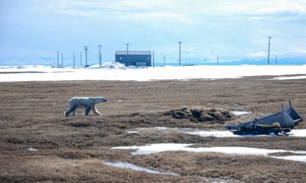 State needles insurers over climate, Arctic oil and gas policies