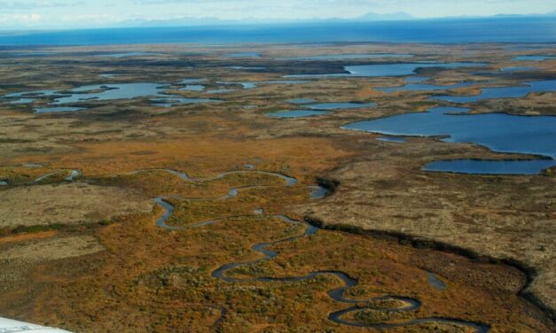 Pebble Mine, halted by EPA order, gets support from national development groups