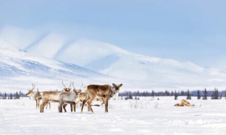 Alaska News Nightly: Wednesday, December 17, 2025