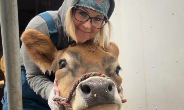 This Kodiak farmer is scaling up her efforts to give free milk to families in need