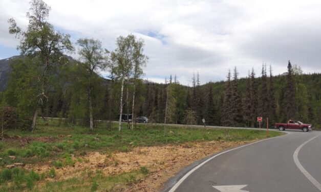 State seeks input on Kenai Peninsula forest proposal