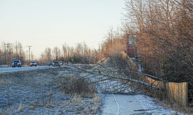 Thousands of Mat-Su residents still without power as community reels from hurricane-force winds