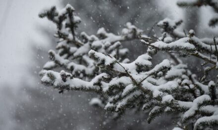 Learning to love the winter | Talk of Alaska