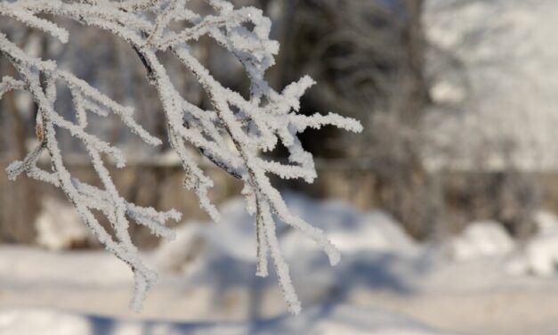 Alaska News Nightly: Wednesday, January 14, 2026