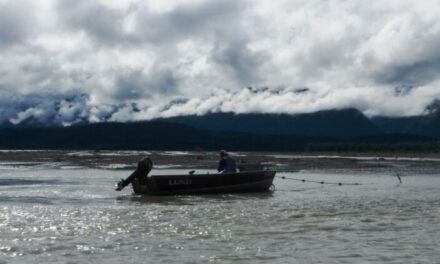 Skagway students are asking for time off school to participate in subsistence activities