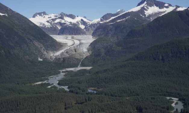 ‘A period of change’ at the Forest Service: A conversation with Alaska’s acting regional forester