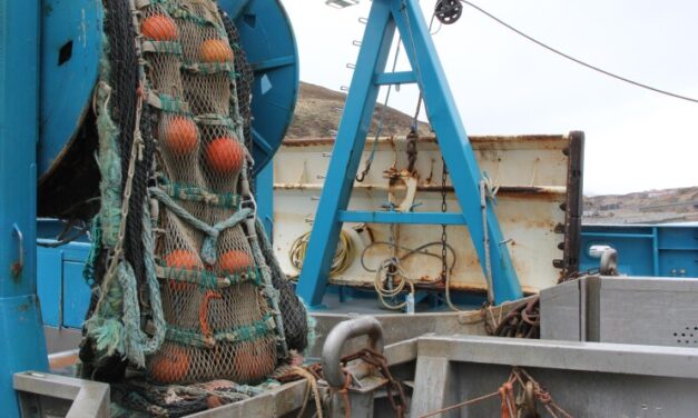Unalaska’s pollock industry anticipates upcoming chum bycatch decision