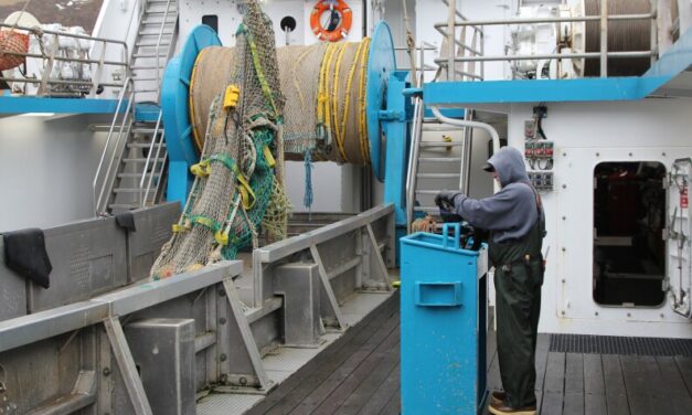 Newly proposed federal legislation aims to curb Alaska bycatch