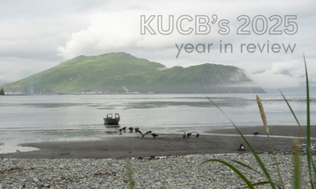 KUCB’s 2025 year in review