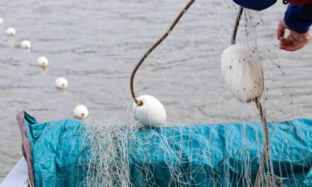 Alaska News Nightly: Friday, February 6, 2026