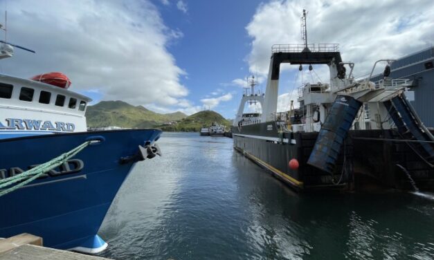 Tribes and pollock industry await final decision on chum bycatch
