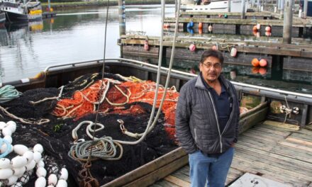 Board of Fisheries deliberations could decide future of Area M’s June salmon fishery