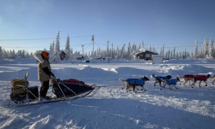 Josi Shelley leads Yukon Quest 750 out of Circle