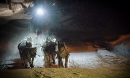 With a commanding lead, Josi Shelley nears finish of Yukon Quest 750