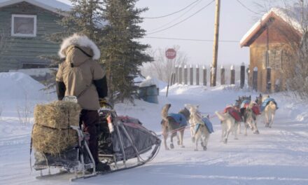Fort Yukon welcomes Yukon Quest mushers for the first time