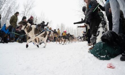 Our 12 favorite photos from the 2026 Iditarod ceremonial start