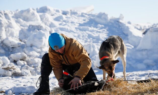 Iditarod teams contend with whipping wind, watery overflow and wild bison in race’s first third