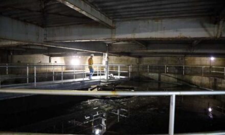 Officials are still looking for a solution after Juneau rejected PFAS-contaminated poop from Gustavus