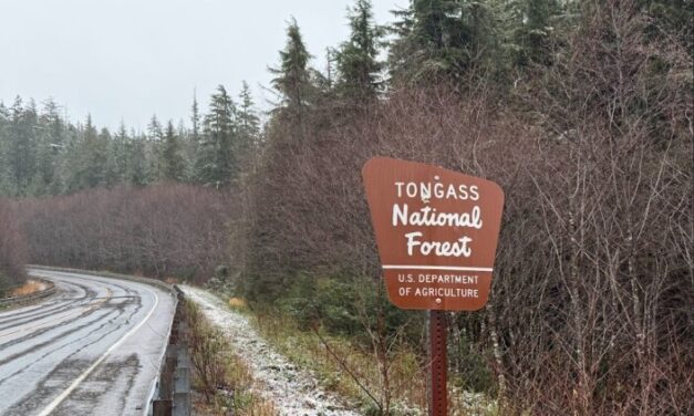 Future of Juneau’s Forest Service lab in limbo after agency announces restructuring, closes Anchorage Forestry Lab